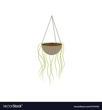 Icon in flat design flower pot vector image