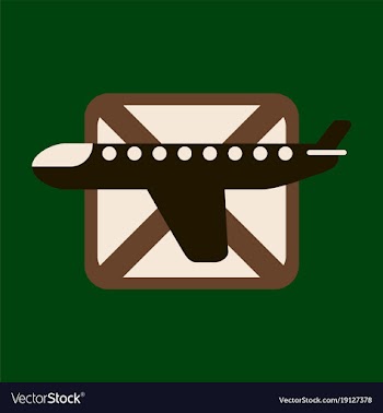 Icon in flat design for airport airplanes flight vector image