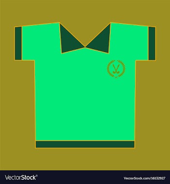 Icon in flat design golf shirt vector image