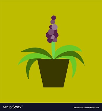 Icon in flat design hyacinth vector image