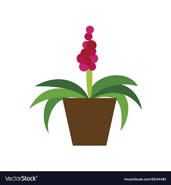 Icon in flat design hyacinth vector image