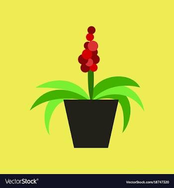 Icon in flat design hyacinth vector image