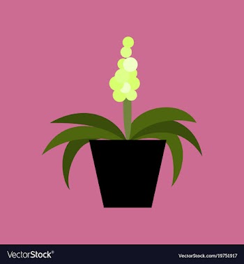 Icon in flat design hyacinth vector image