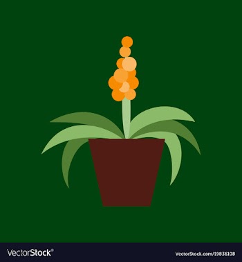 Icon in flat design hyacinth vector image