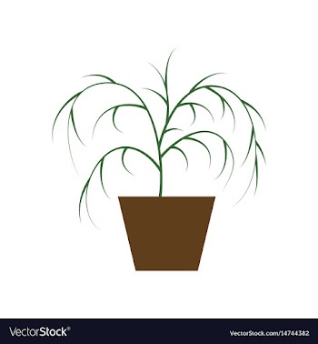 Icon in flat design plant in a pot vector image