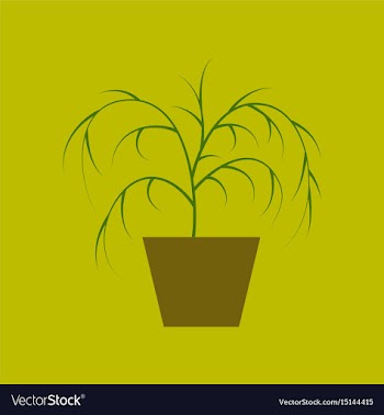 Icon in flat design plant in a pot vector image