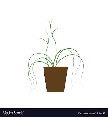 Icon in flat design plant in a pot vector image