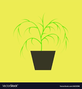 Icon in flat design plant in a pot vector image