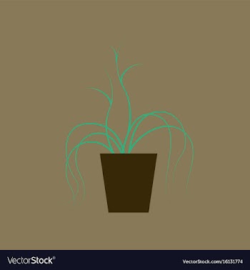 Icon in flat design plant in a pot vector image