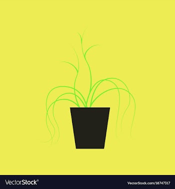 Icon in flat design plant in a pot vector image