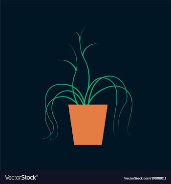 Icon in flat design plant in a pot vector image