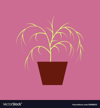 Icon in flat design plant in a pot vector image