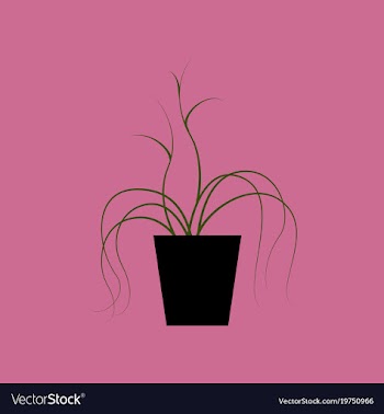 Icon in flat design plant in a pot vector image