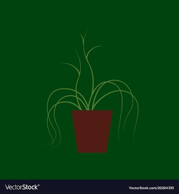 Icon in flat design plant in a pot vector image