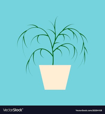 Icon in flat design plant in a pot vector image