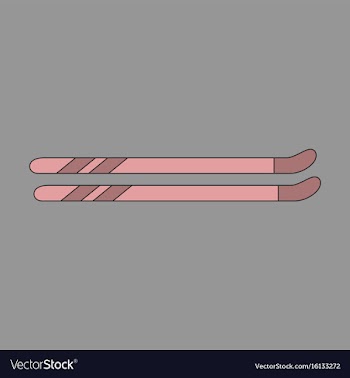 Icon in flat design ski vector image