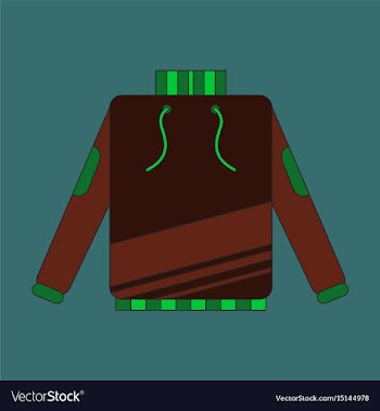 Icon in flat design skiing sweater vector image