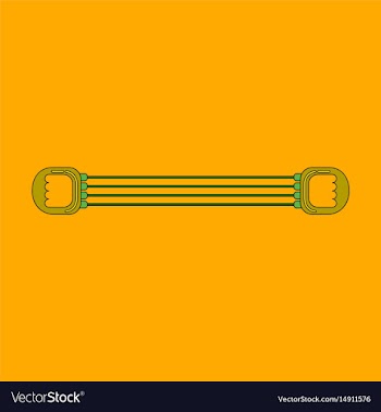 Icon in flat design sports expander vector image