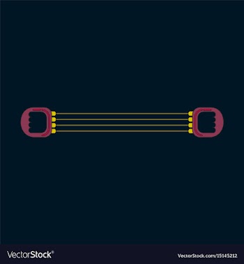 Icon in flat design sports expander vector image