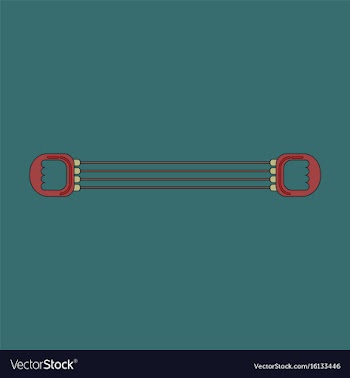 Icon in flat design sports expander vector image