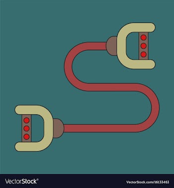 Icon in flat design sports expander vector image
