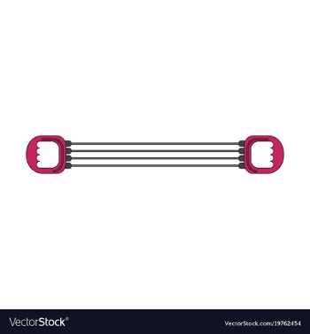 Icon in flat design sports expander vector image