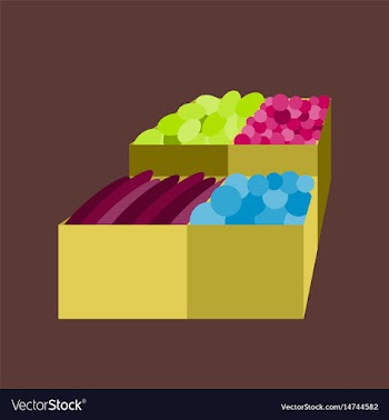 Icon in flat design vegetables and fruits vector image
