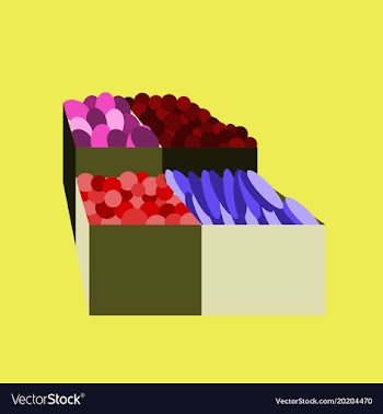 Icon in flat design vegetables and fruits vector image