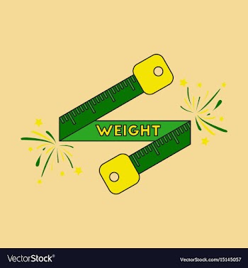 Icon in flat design weight loss logo vector image