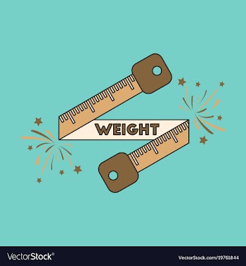 Icon in flat design weight loss logo vector image