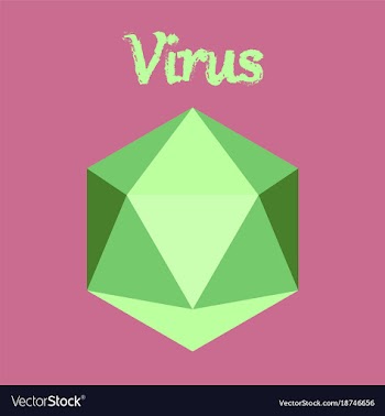 Icon in flat style virus vector image