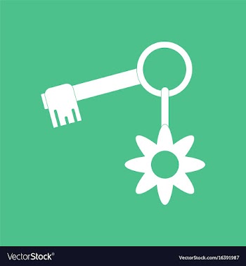 Icon key and key fob vector image