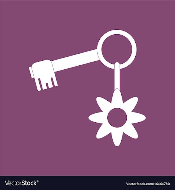 Icon key and key fob vector image
