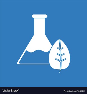 Icon lab flask with leaf vector image