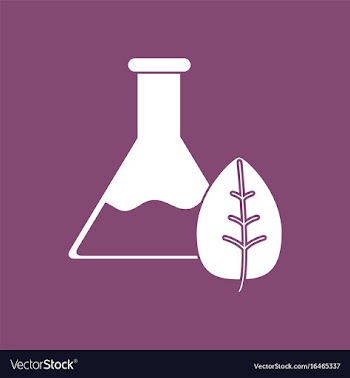 Icon lab flask with leaf vector image