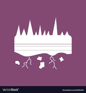 Icon land roots vector image