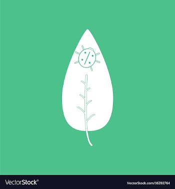 Icon leaf and ladybug vector image