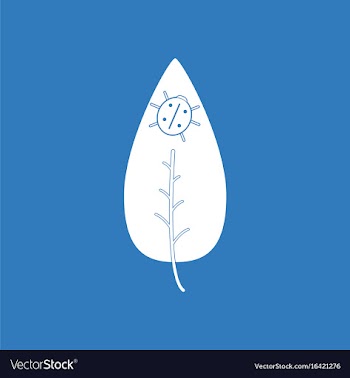 Icon leaf and ladybug vector image
