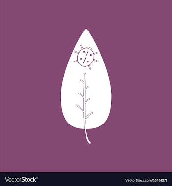 Icon leaf and ladybug vector image