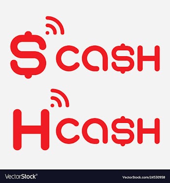 Icon logo cash vector image