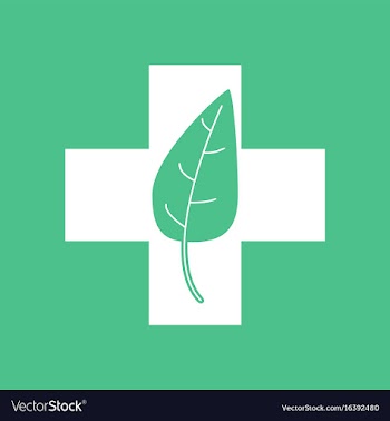 Icon medical cross with leaf vector image