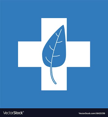 Icon medical cross with leaf vector image