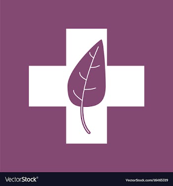 Icon medical cross with leaf vector image