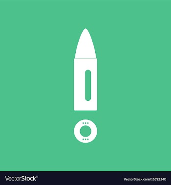 Icon military bullet and primer vector image