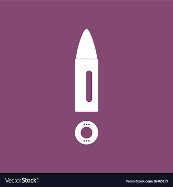Icon military bullet and primer vector image