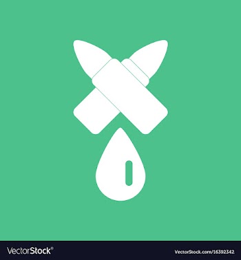 Icon military bullets and drop vector image