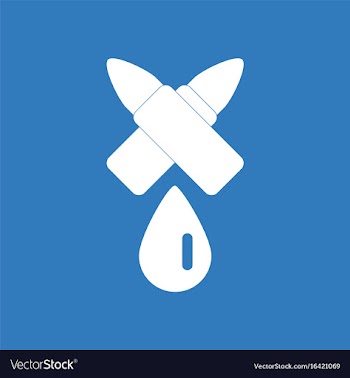 Icon military bullets and drop vector image