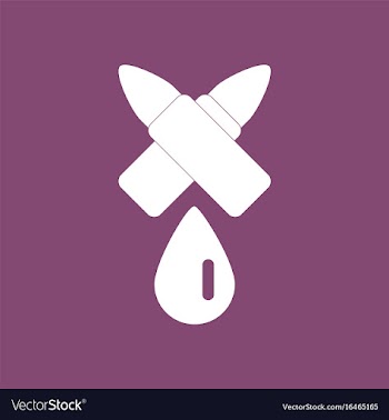 Icon military bullets and drop vector image