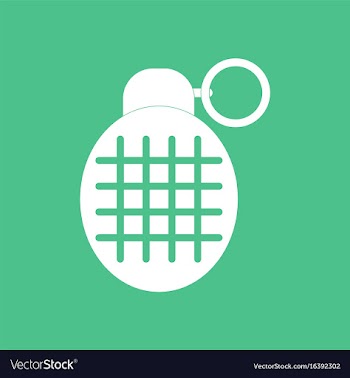 Icon military frag grenade vector image