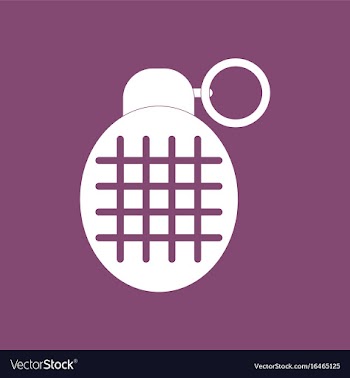 Icon military frag grenade vector image